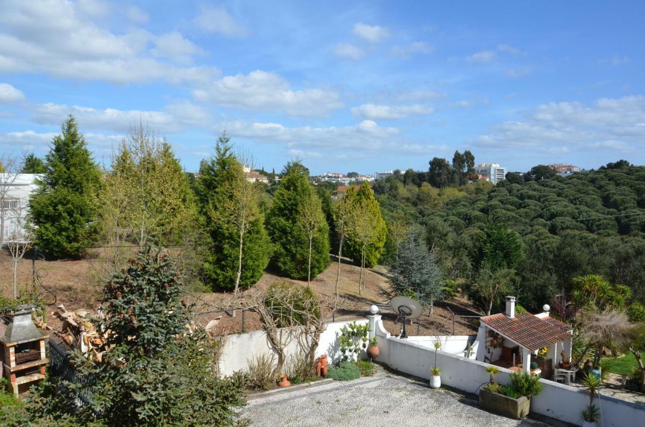 Casa Da Palmeira Leiria Zewnętrze zdjęcie