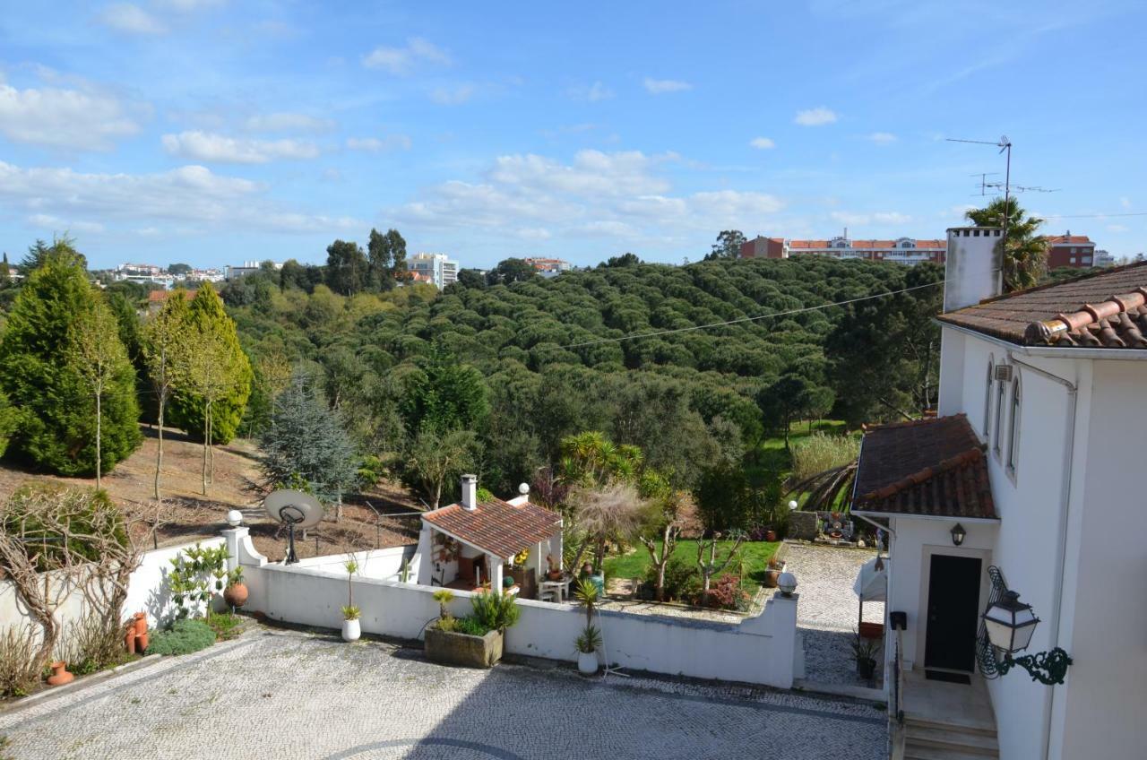 Casa Da Palmeira Leiria Zewnętrze zdjęcie
