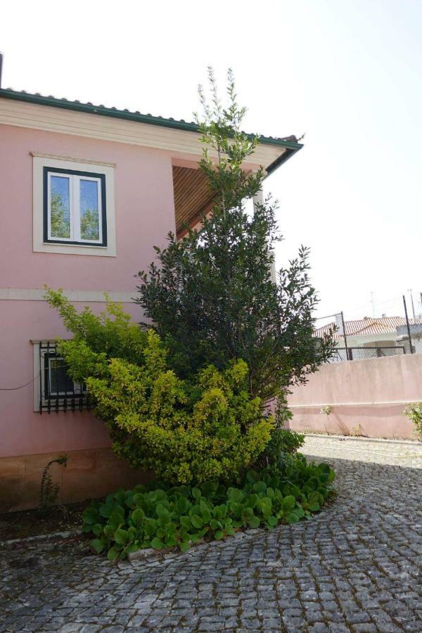 Casa Da Palmeira Leiria Zewnętrze zdjęcie